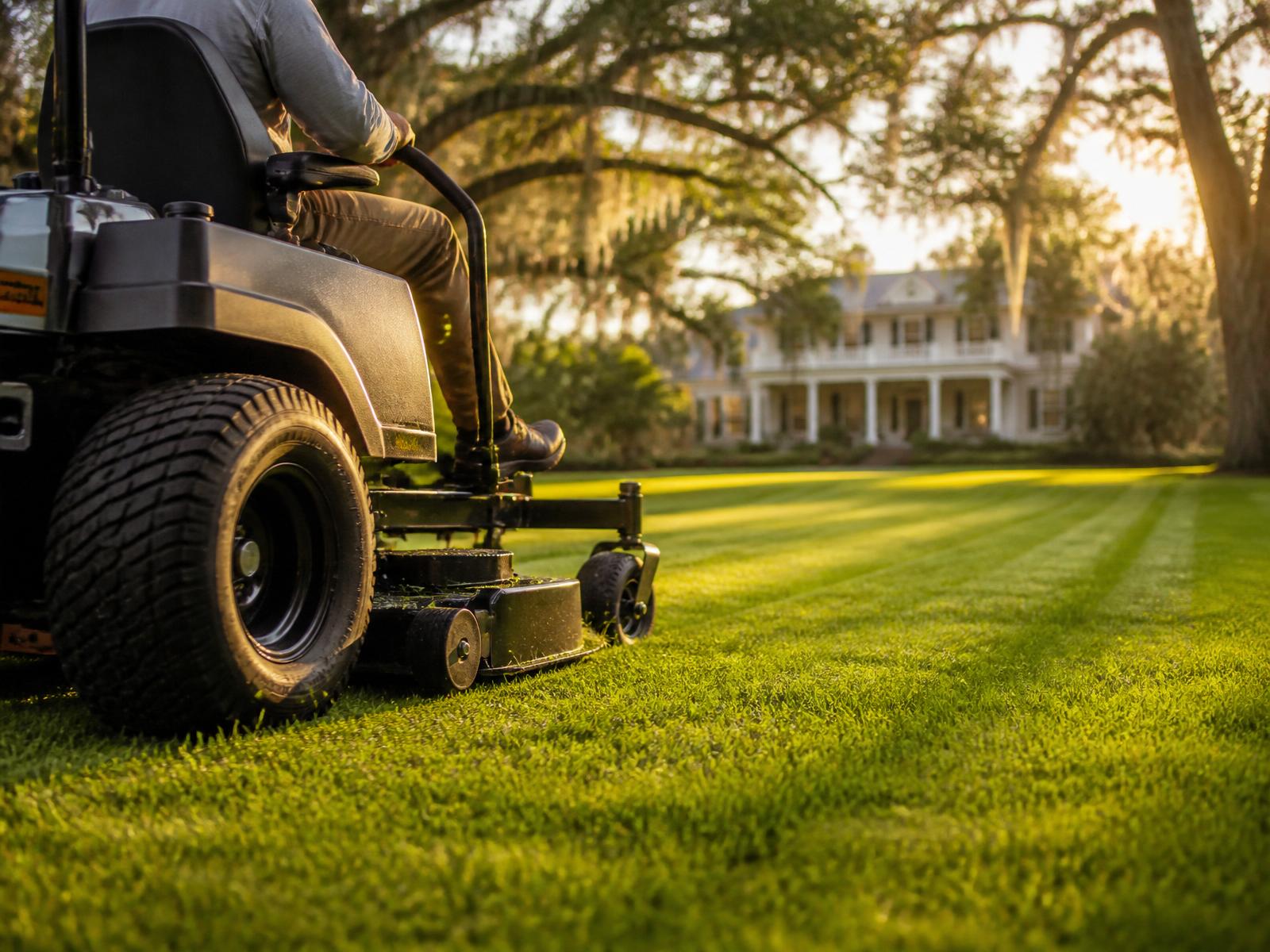 Lawn Maintenance